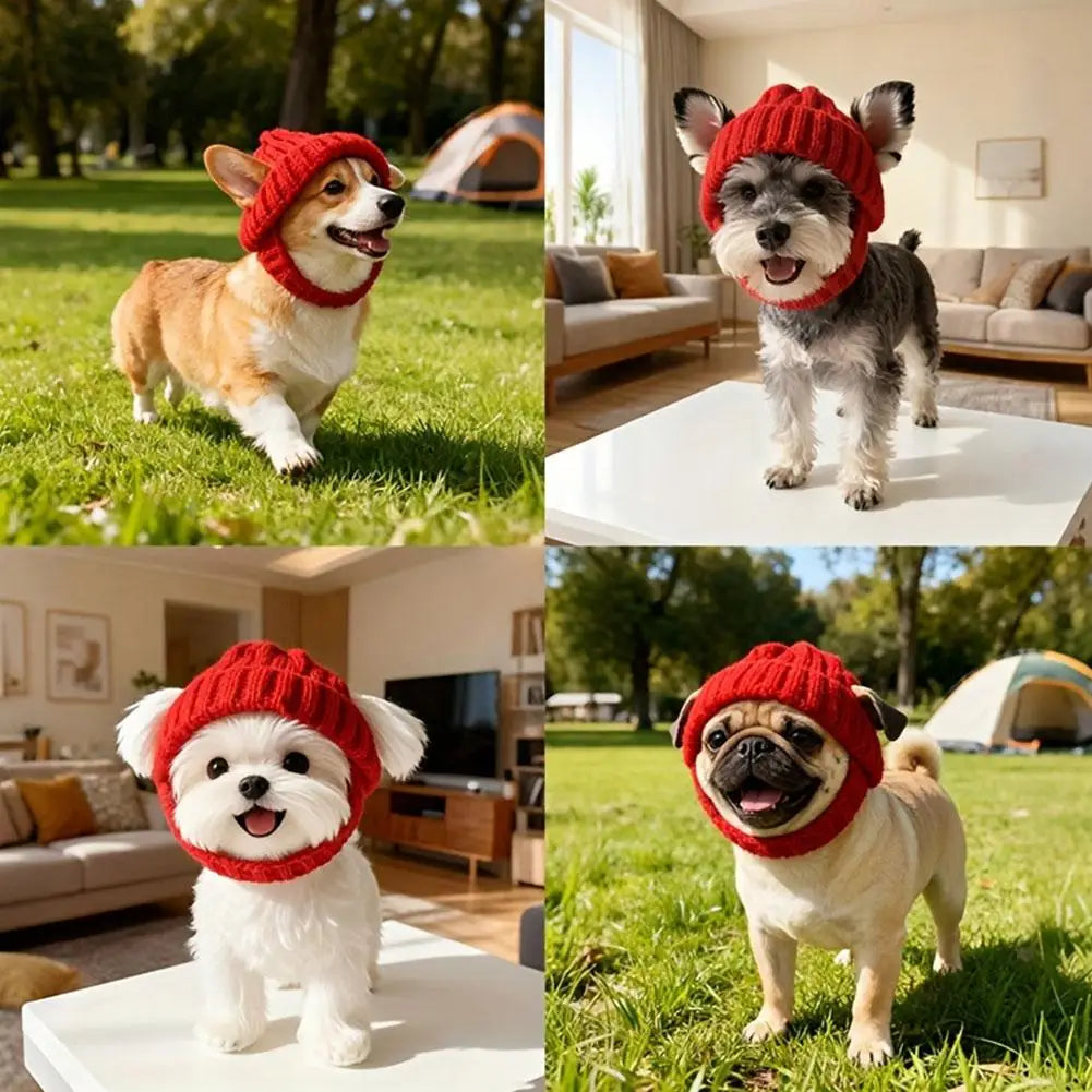 Pet Cat Hat Cute Cold Weather Windproof - MyPetDollar.com