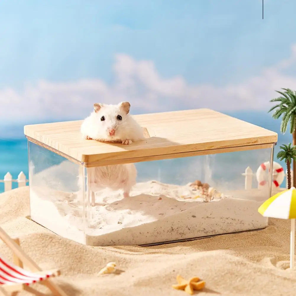 Hamster Golden Bear Sand Bath Box Acrylic - MyPetDollar.com