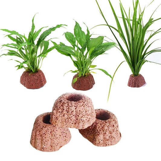 Volcanic Rock Aquarium Decoration Plant Cup - MyPetDollar.com
