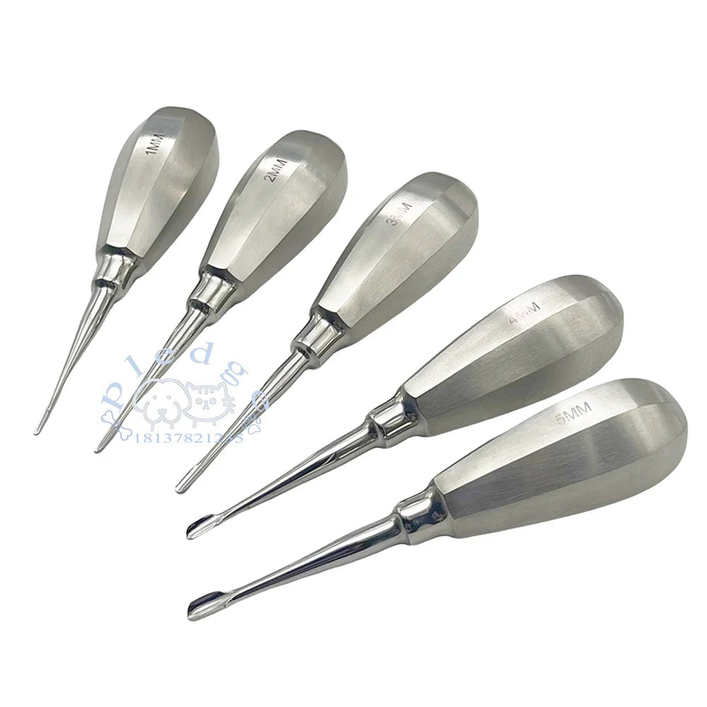 Pet Dog Cat Short Handle Dental Elevator - MyPetDollar.com