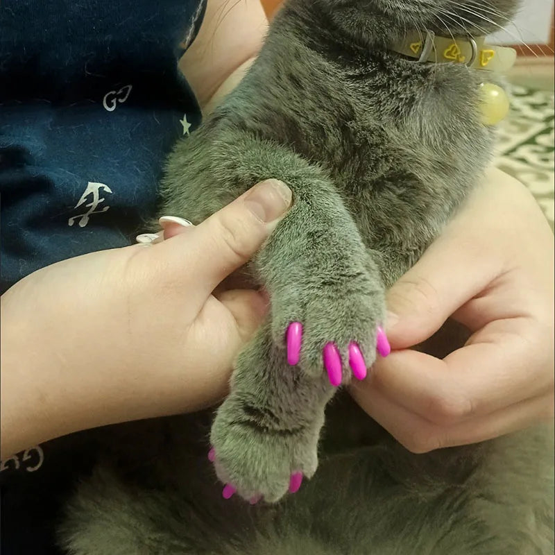 20pcs Cat Nail Caps Pet Cat Soft Paws Nail - MyPetDollar.com
