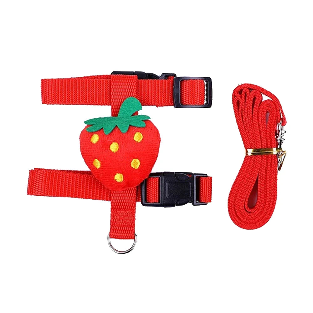 Rabbit Cat Harness and Leash Set Adjustable Pet Lead – Small Pet Supplies