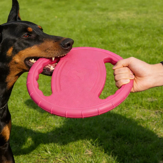Dogs EVA Flying Disc Tooth Chew Play Train - MyPetDollar.com