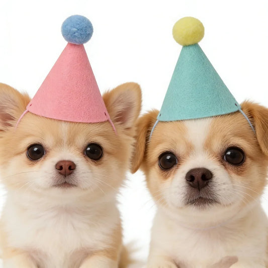 Mini Felt Birthday Party Hat 1/6Pcs, Lovely - MyPetDollar.com