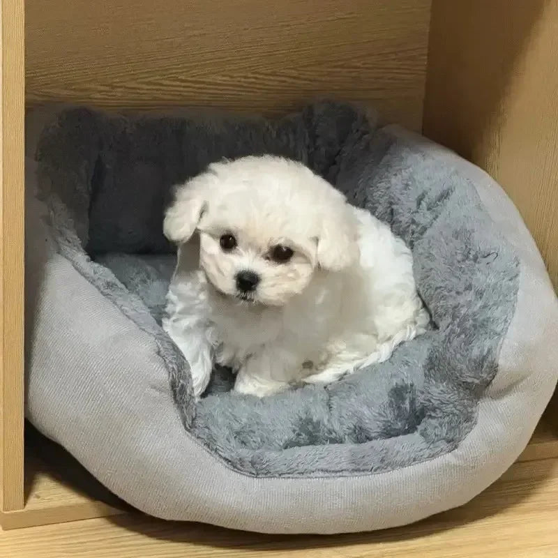 Very Soft Warm Dog Bed Pets Basket Cat House - MyPetDollar.com