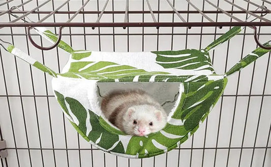 Ferret Hammock Warm Guinea Pig Hammock for - MyPetDollar.com