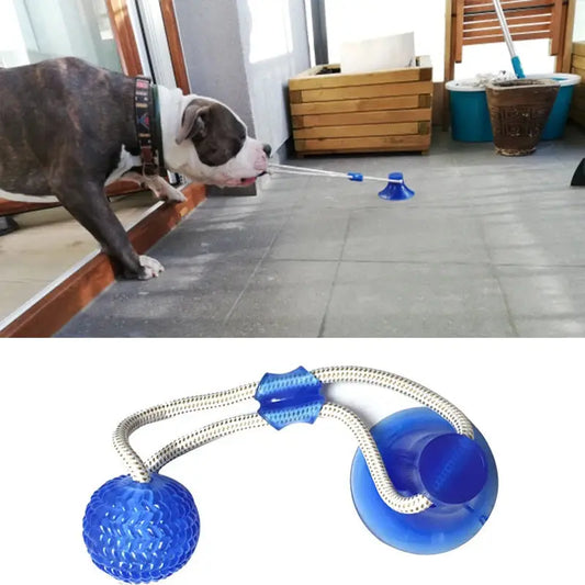 Dog Toys Pet Puppy Interactive Suction Cup - MyPetDollar.com