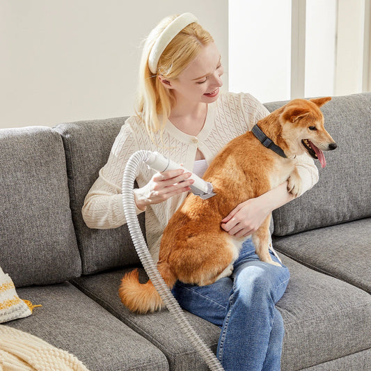 JHK 2.5L Professional Pet Grooming Vacuum - MyPetDollar.com