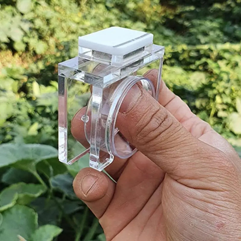 Secure Suction Reptiles Feeder Bowl Water - MyPetDollar.com