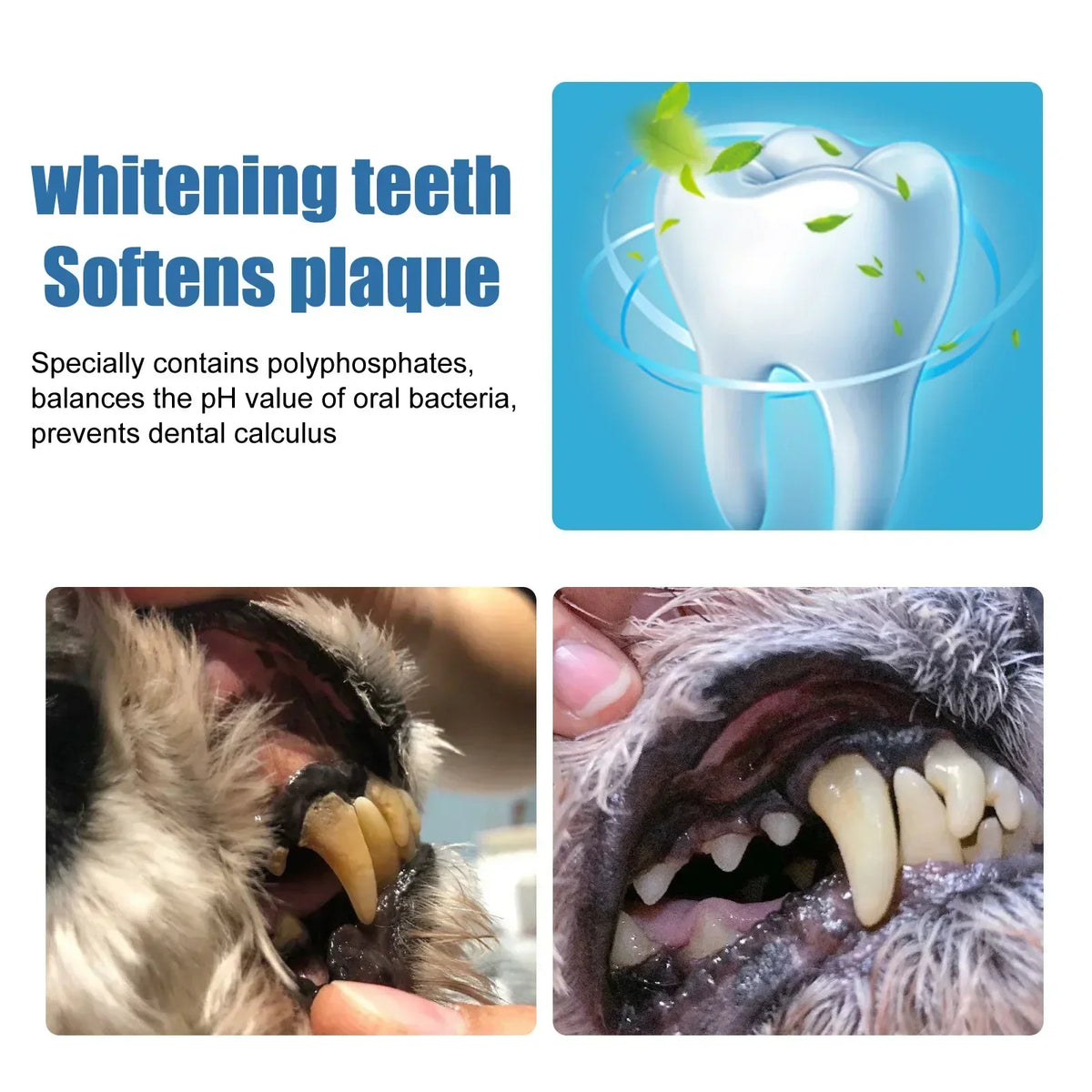 Pet Tartar Remover Natural Plaques Off & - MyPetDollar.com