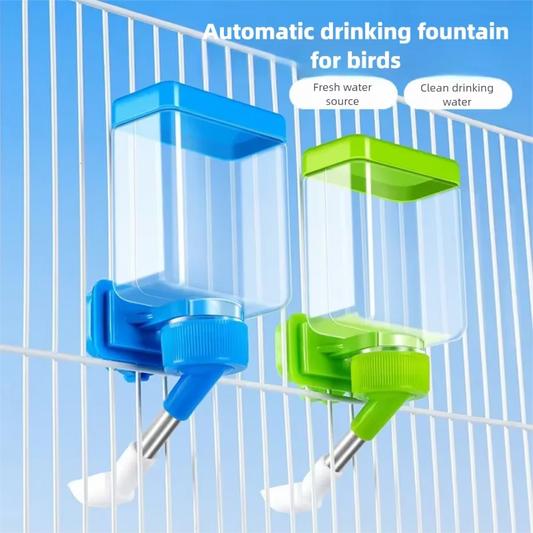 Bird Drinking Water Automatic Feeder Parrot - MyPetDollar.com