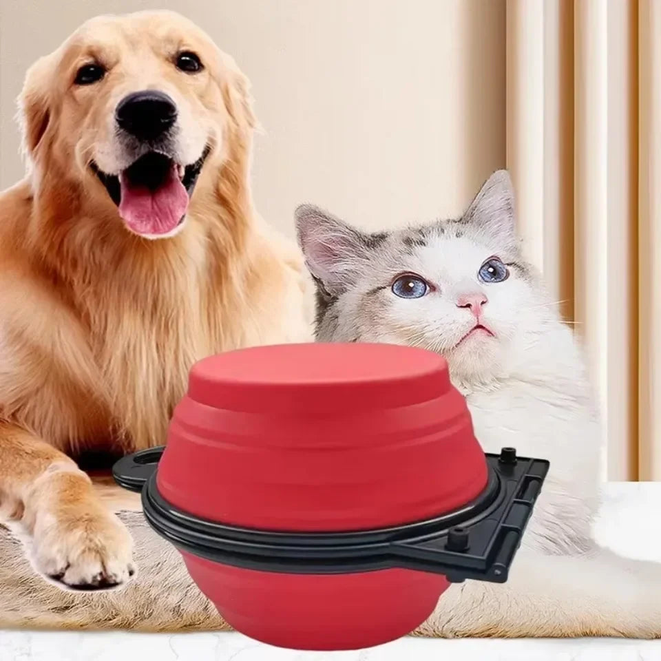 1-piece 2-in-1 Foldable Dual Bowl Feeding - MyPetDollar.com