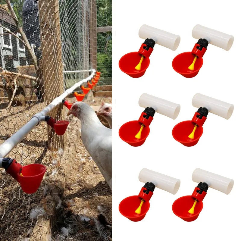 10Pcs Automatic Chicken Quail Drinker Bowl - MyPetDollar.com