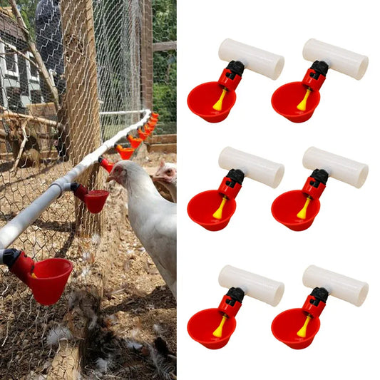 10Pcs Automatic Chicken Quail Drinker Bowl - MyPetDollar.com