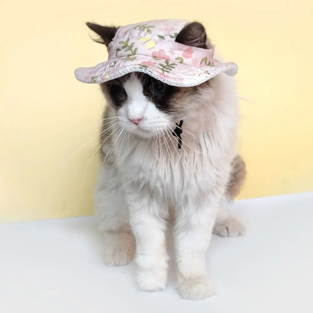High-quality Adjustable Pet Sun Hat Cat Dog - MyPetDollar.com