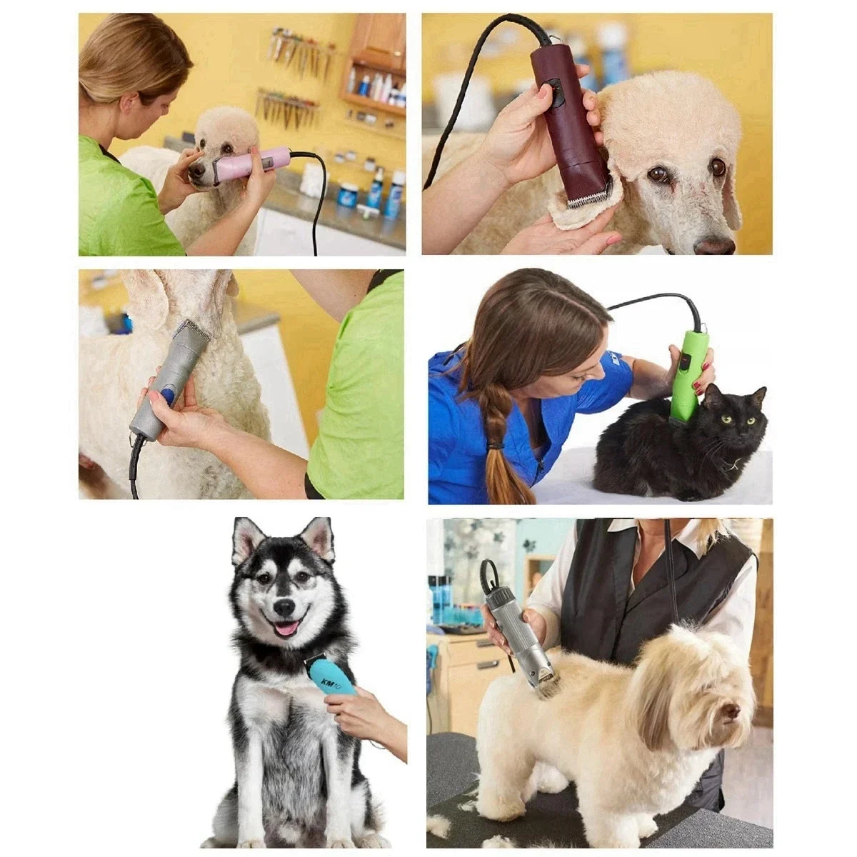 4F,5F,7FC,10#,30#,40# Professional Pet Dog - MyPetDollar.com