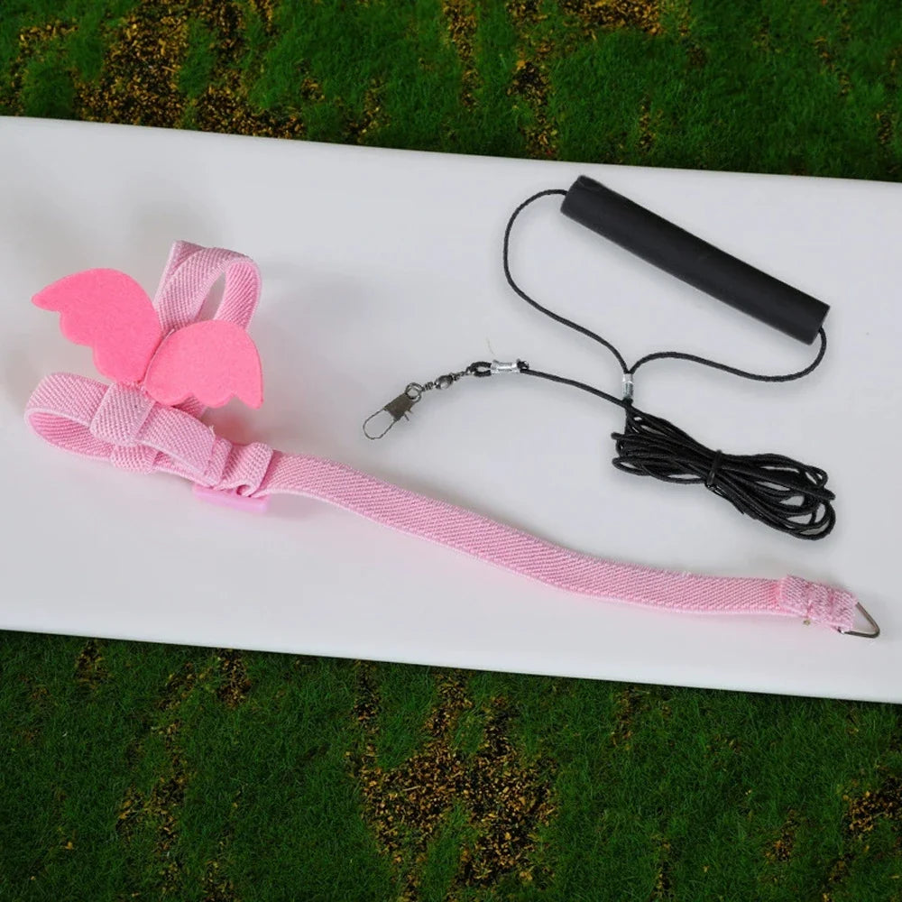 Pet Parrot Bird Harness Adjusttraining Leash – 2 Sizes