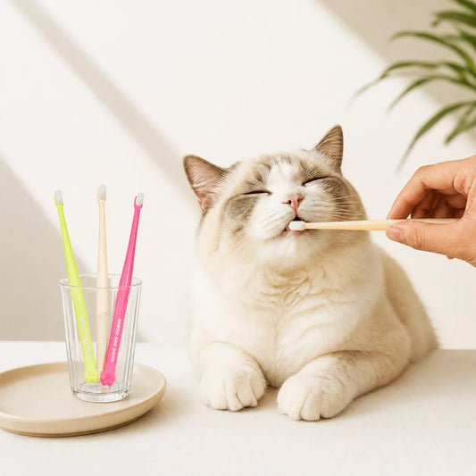 4Pcs Pet Toothbrush Cat Brush Clear Up Bad - MyPetDollar.com