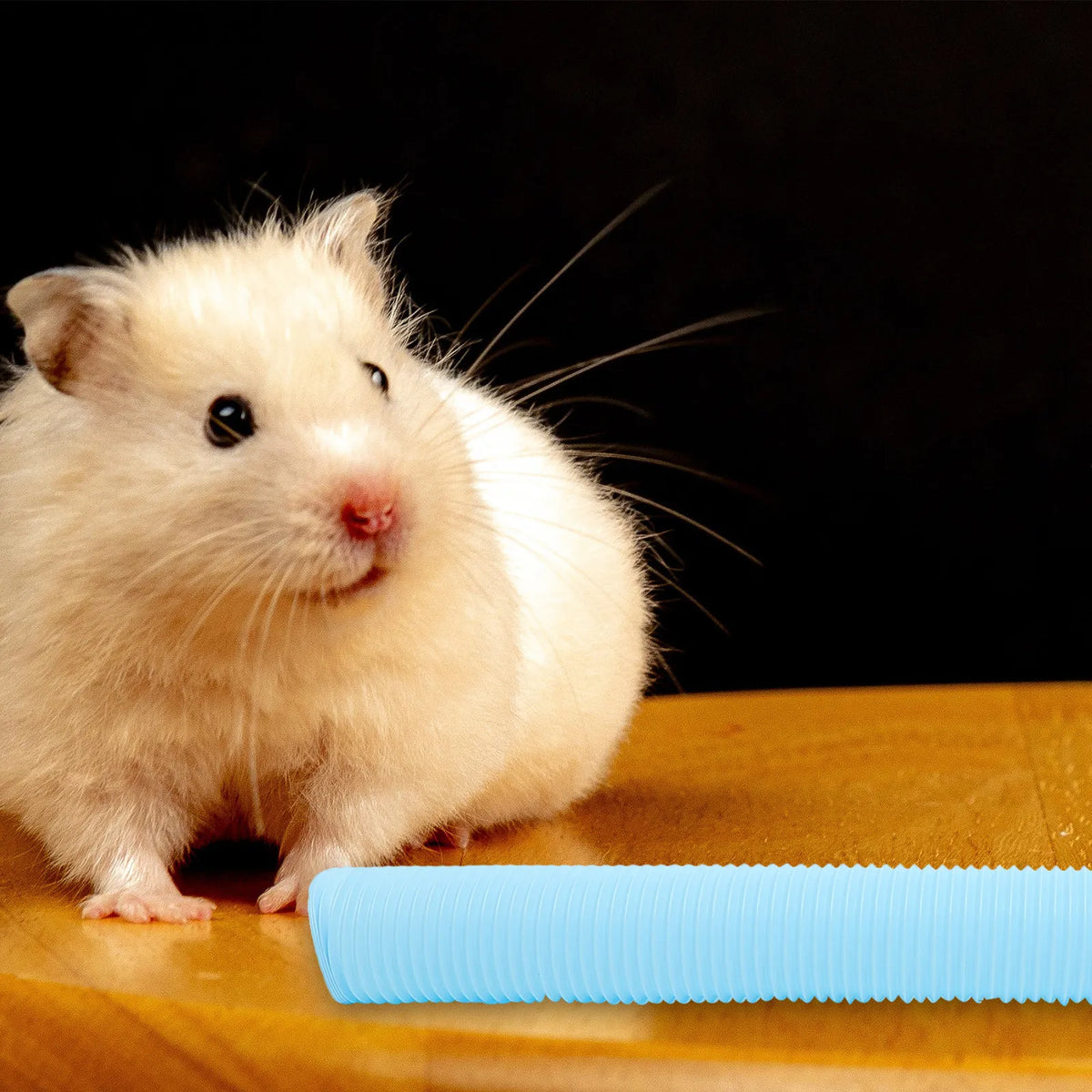 Foldable Hamster Tunnel Flexible Plastic - MyPetDollar.com