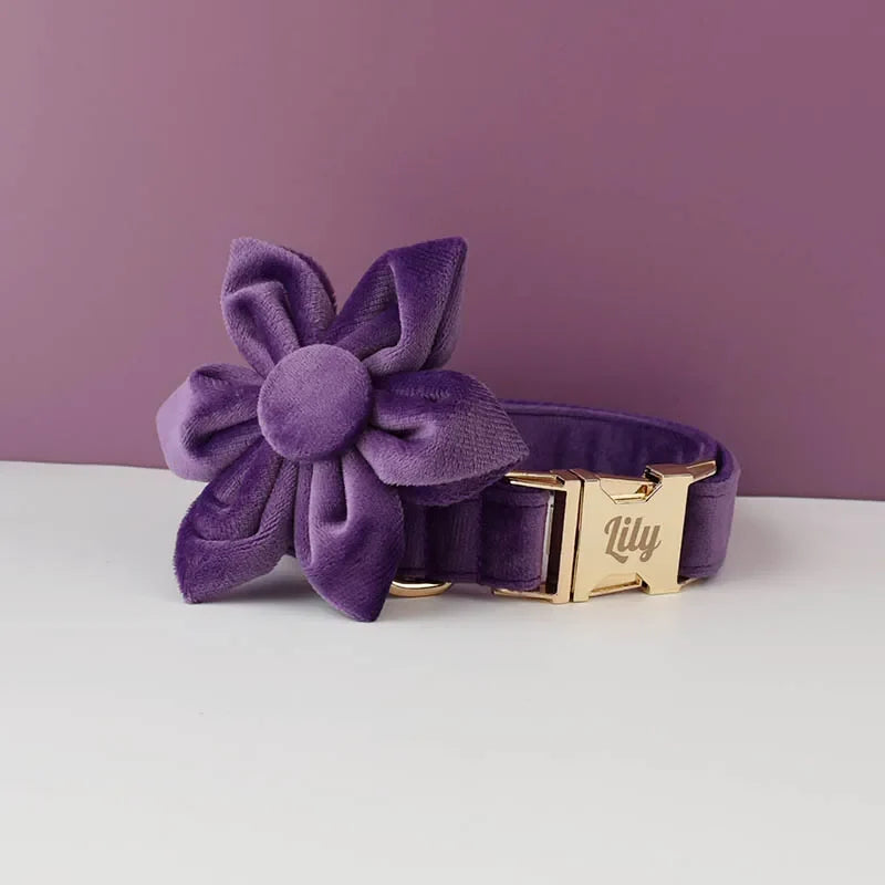 Purple Velvet Dog Collar And Leash Set For - MyPetDollar.com