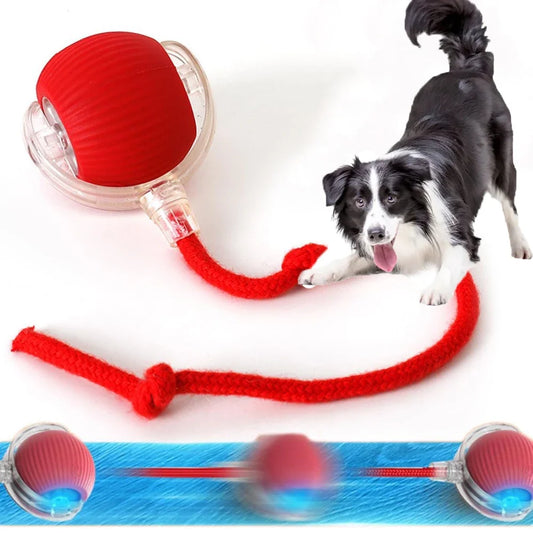 Hot Electric Dog Ball Toys Automatic Rolling - MyPetDollar.com