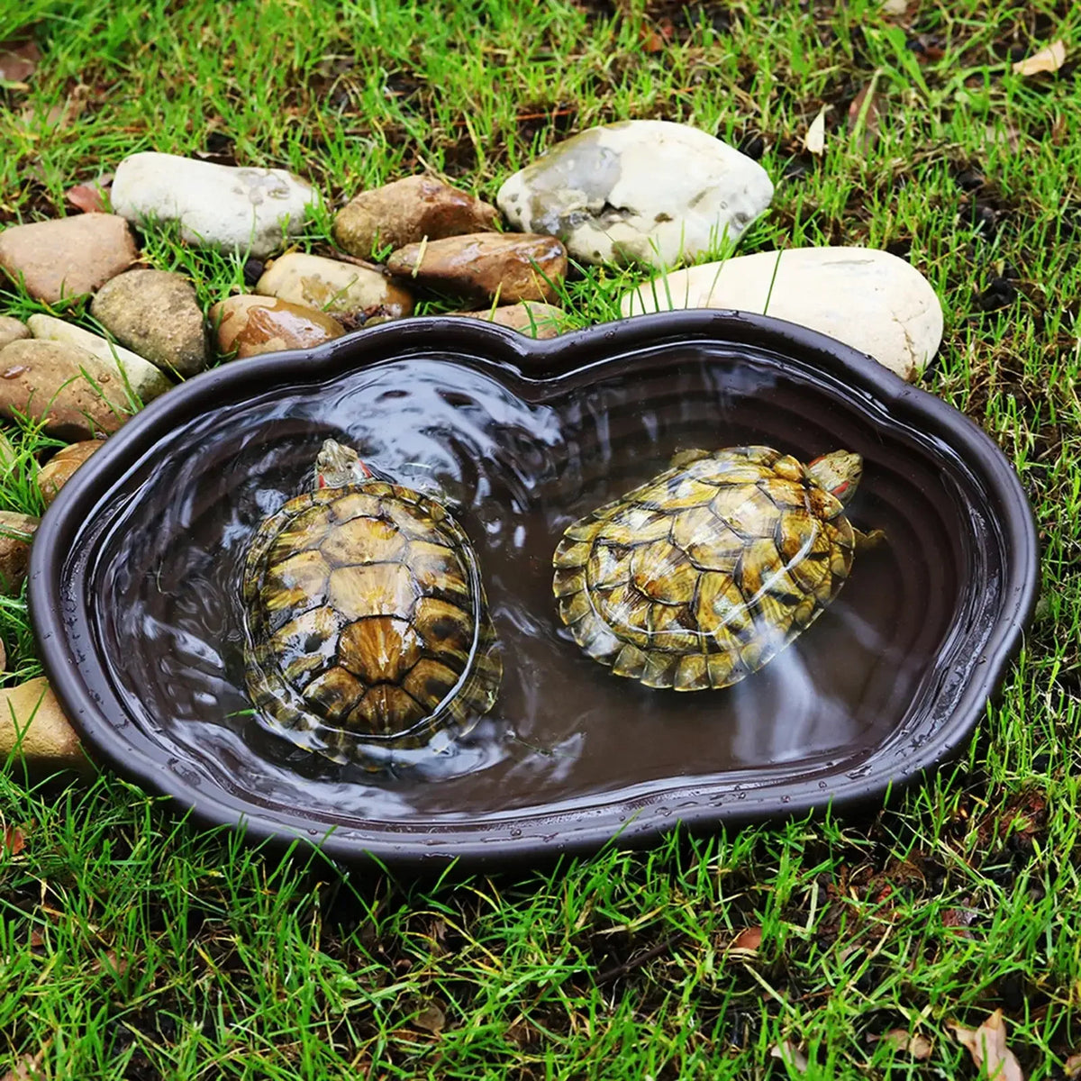 Reptile Bathing Pool Amphibians Accessories - MyPetDollar.com