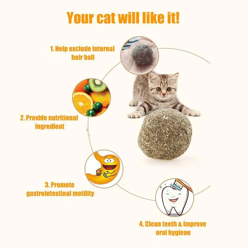 1~5PCS Natural Catnip Cat Wall Stick-on Ball - MyPetDollar.com