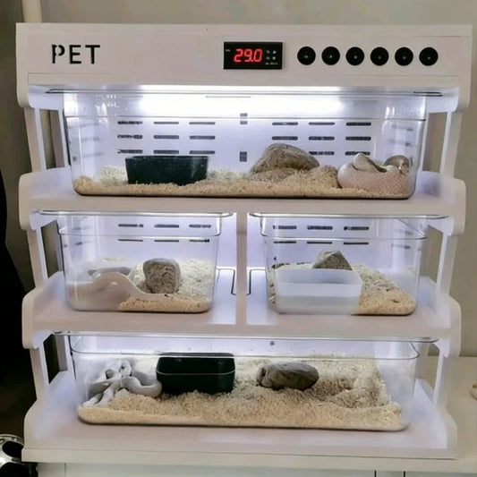 Reptiles Incubator Heating Gecko Snake - MyPetDollar.com