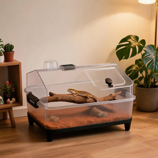 Small Reptile Terrarium Kit With Lid, - MyPetDollar.com