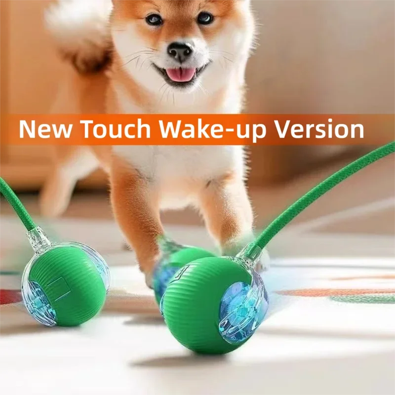 Dog Interactive Ball Toy Automatic Rolling - MyPetDollar.com