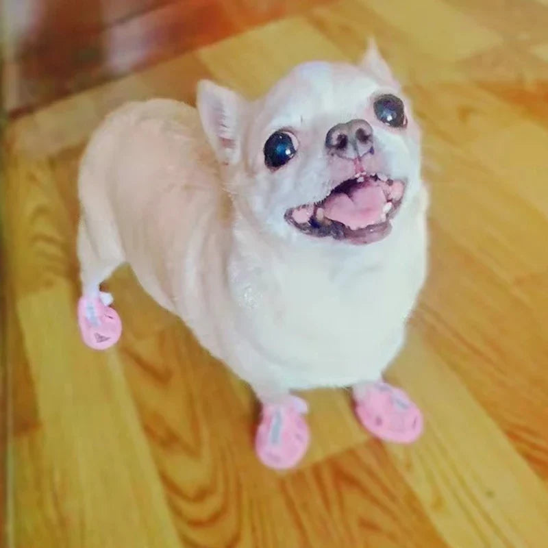 4pcs Summer Mesh Pet Sandals Shoes for Small - MyPetDollar.com