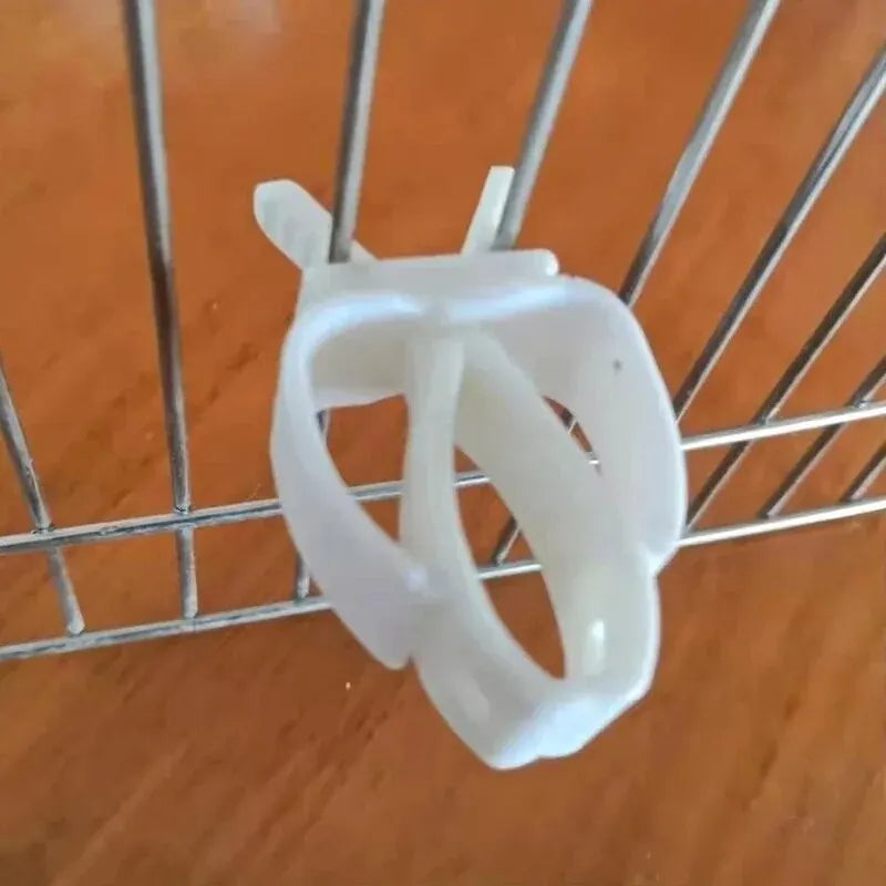 Cute Small Pet Bird Food Holder Parrot - MyPetDollar.com
