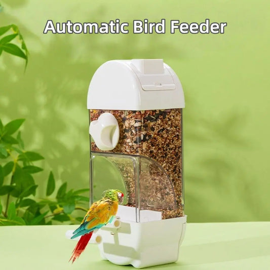 New PET Automatic Bird Feeder Transparent - MyPetDollar.com
