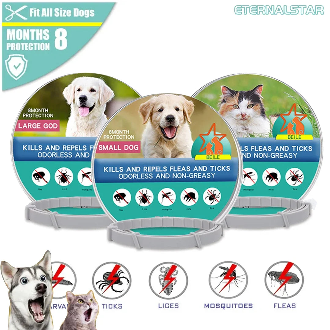 Dog Anti Flea And Tick Collars Pet 8 Month - MyPetDollar.com