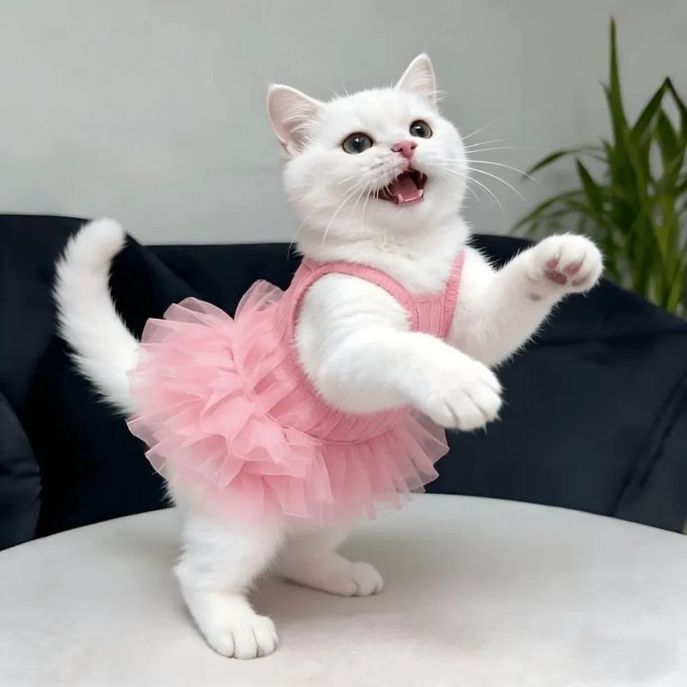 Cute Breathable Puppy Slip Dress Lace Hem - MyPetDollar.com