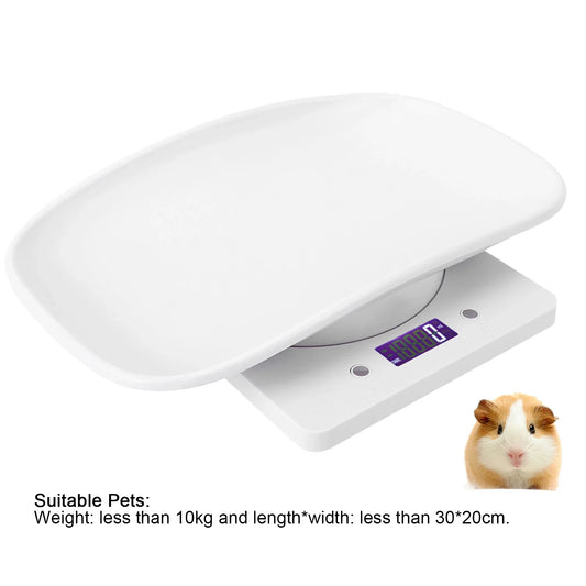 10kg/1g Digital Small Pet Weight Scale for - MyPetDollar.com