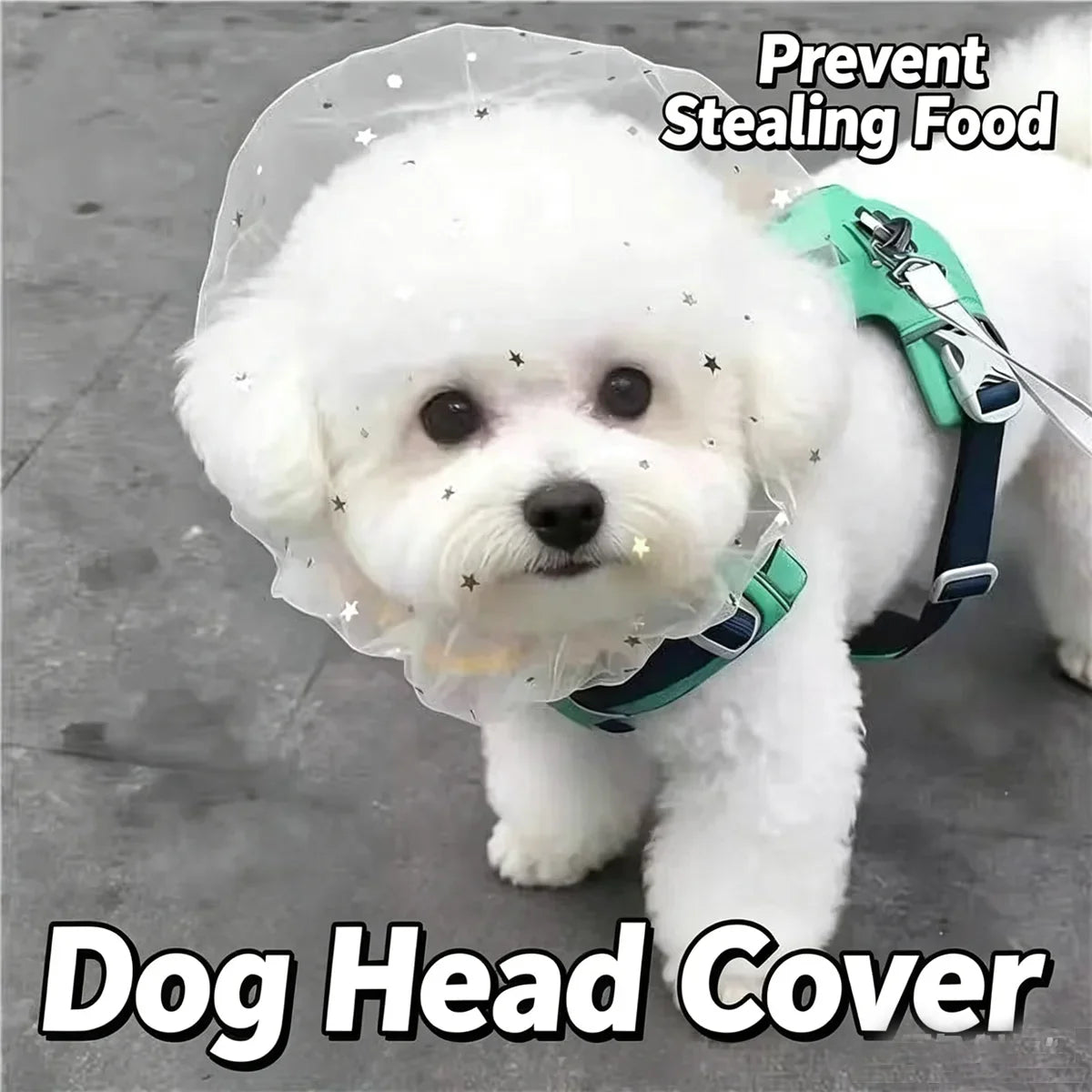 1 Pc Pet Anti-accidental Ingestion - MyPetDollar.com