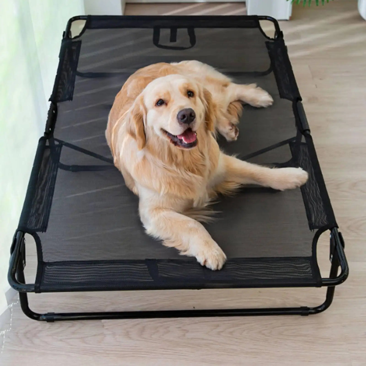 Foldable Industrial Bed Breathable Elevated - MyPetDollar.com