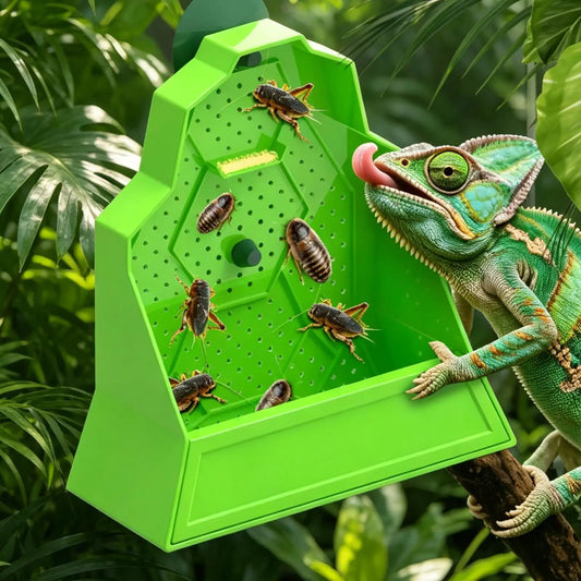 Reptile Food Dish Reptile Feeding Bowls - MyPetDollar.com