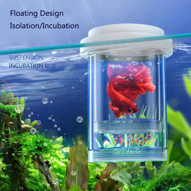 Plastic Floating Fish Breeding Isolation Box - MyPetDollar.com