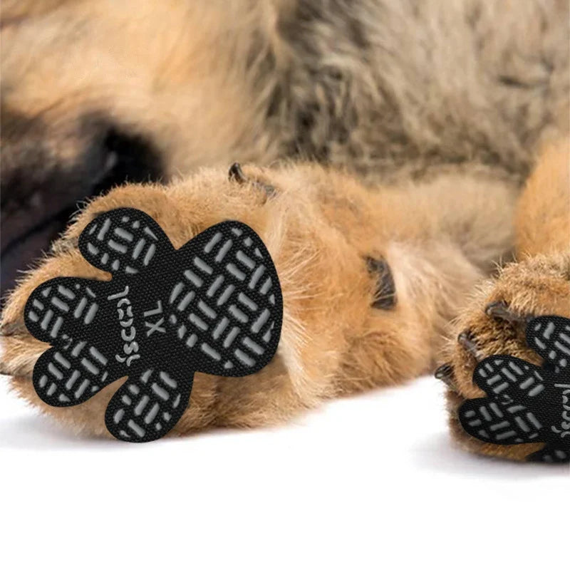 4-Pack Dog Paw Stickers For Outdoor Walking - MyPetDollar.com