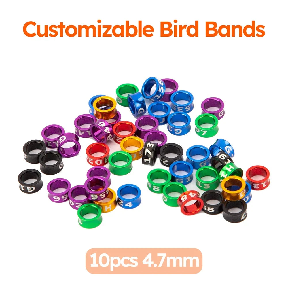 Customized Bird Rings, Durable Random Color Metal
