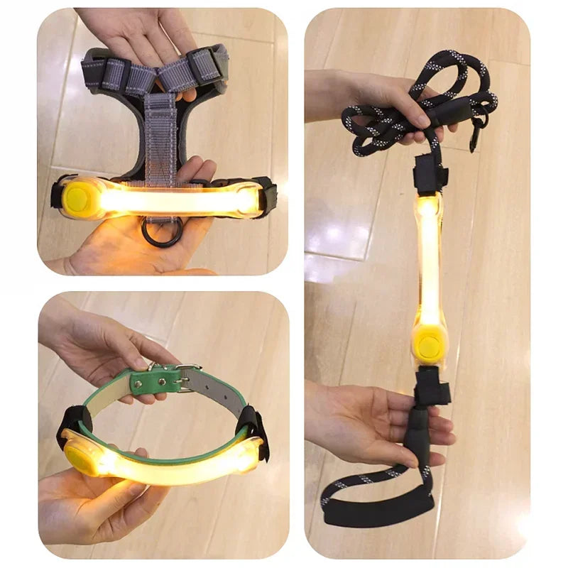 Dog Anti Lost Safety Glowing Collar - MyPetDollar.com