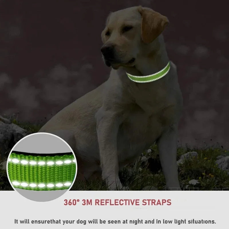 Reflective Dog Collar Strap with Adjustable - MyPetDollar.com