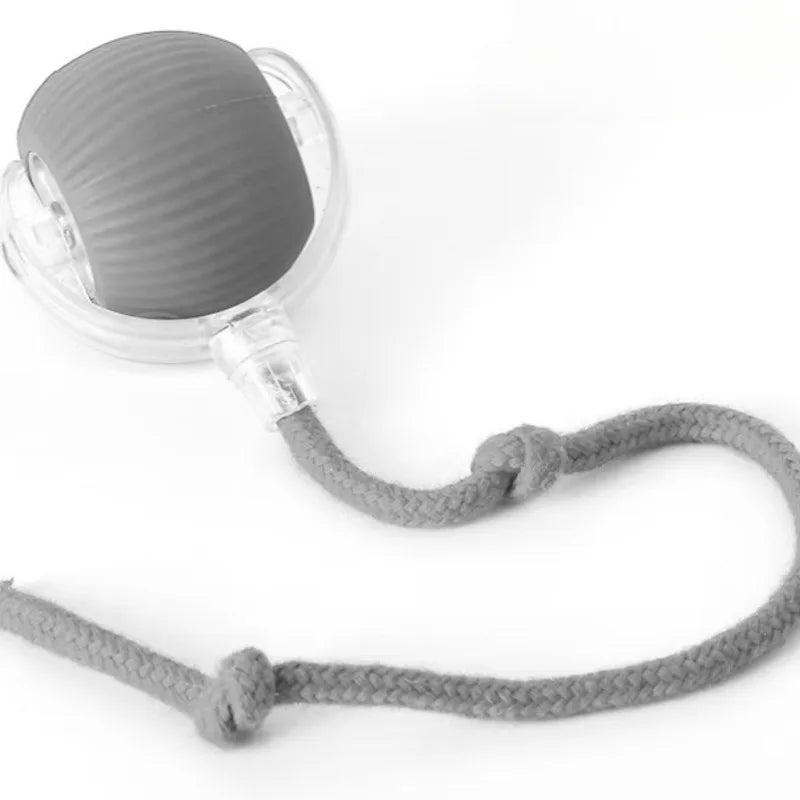 Cat Interactive Ball Plaything