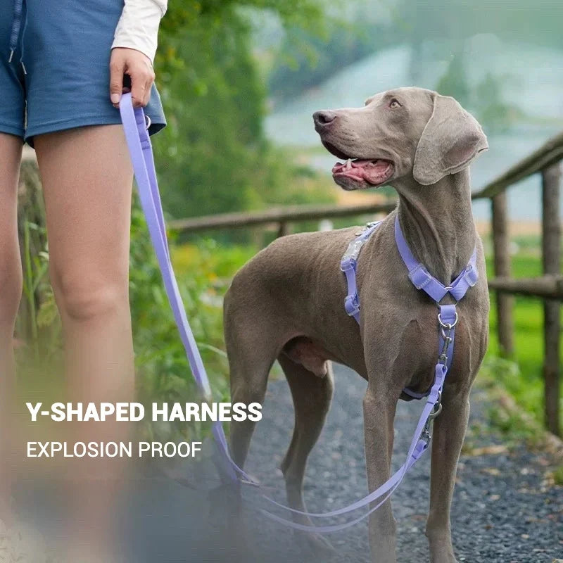 Waterproof Series Dog Collar Leash Harness - MyPetDollar.com