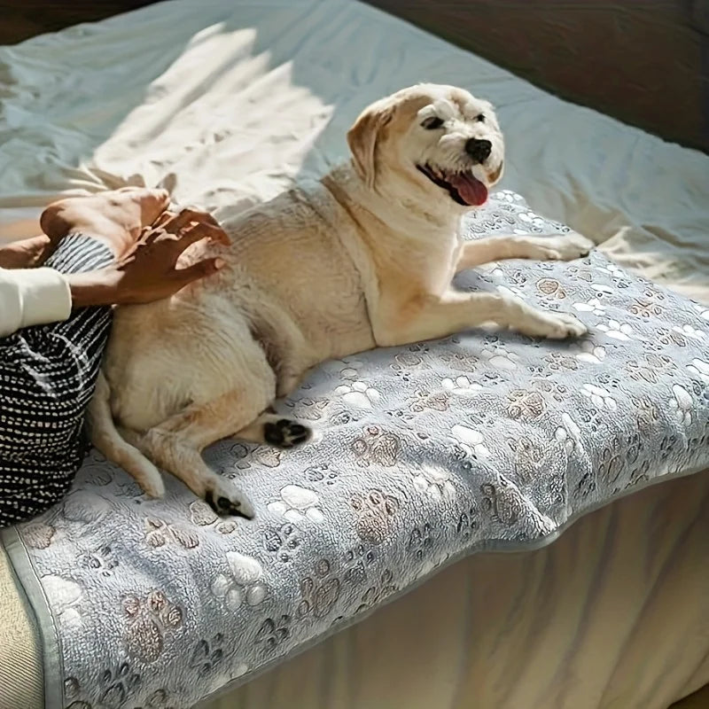3pcs Dog Bed Mat Blanket Pet Flannel Paw - MyPetDollar.com