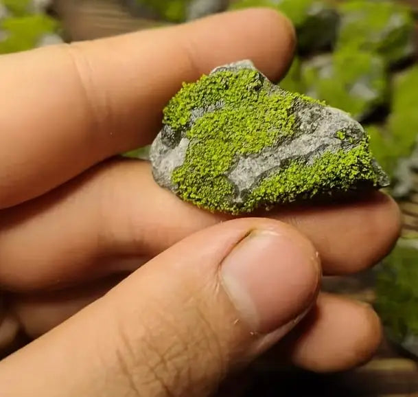Aquarium Moss Landscape Stone Forest Style Ornament