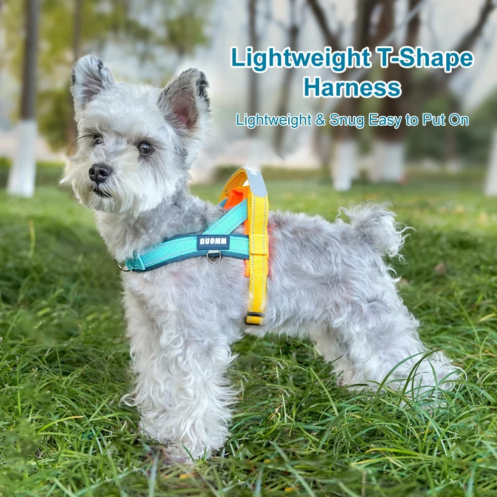 Saddle-Style Dog Harness with Handle - MyPetDollar.com