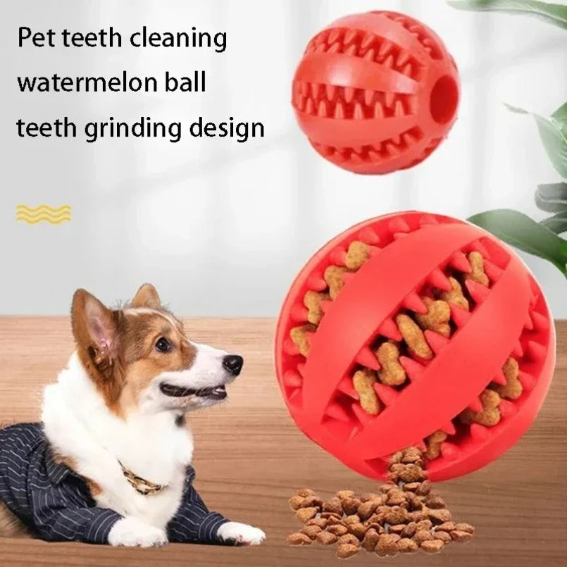 Natural Rubber Pet Dog Toys Dog Chew Toys - MyPetDollar.com